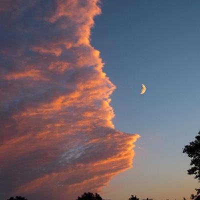 bob·体育综合app