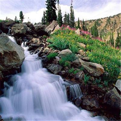 威尼斯wns·8885556